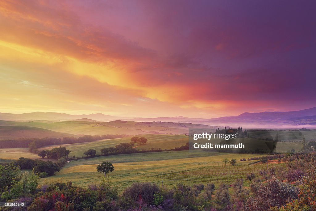Farm in Tuscany at dawn