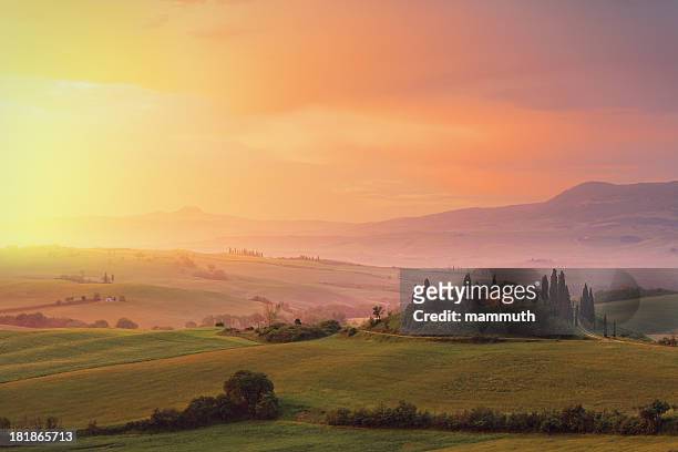 farm in tuscany at dawn - 托斯卡尼 個照片及圖片檔