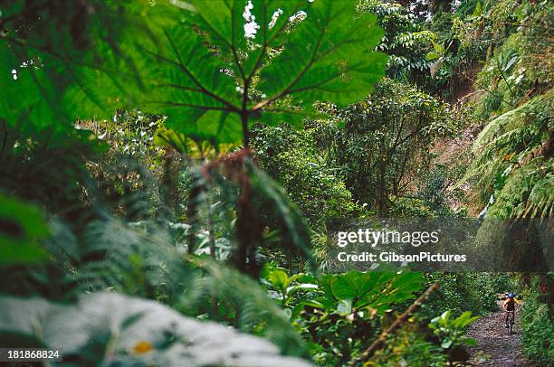 costa rica mountain biking - volcan irazu national park stock pictures, royalty-free photos & images