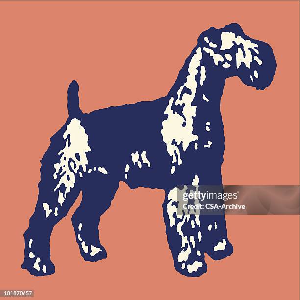 large dog - airedale terrier stock illustrations