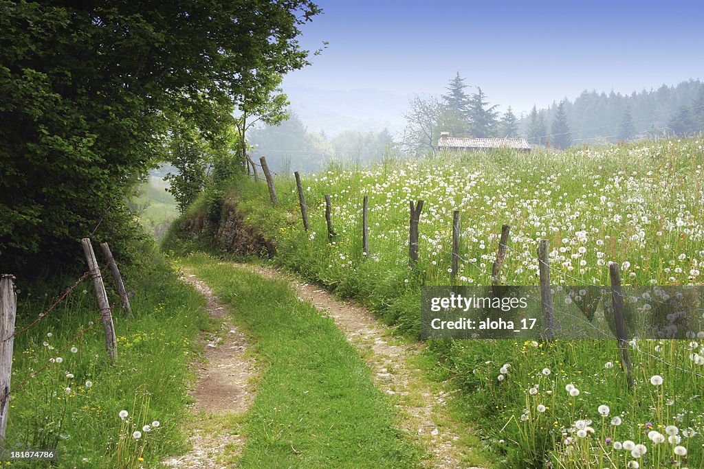 Dirt road in rural spring landscape