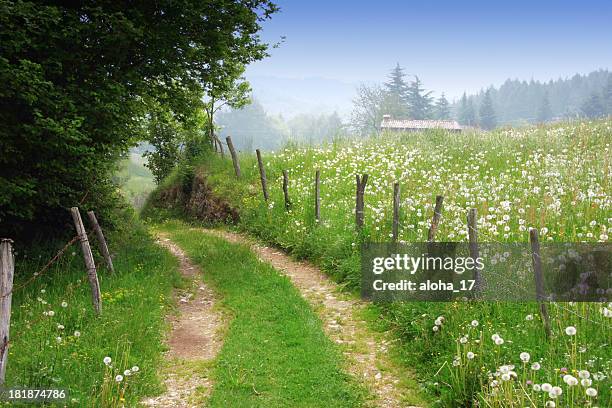 dirt road in rural spring landscape - forest meadow stock pictures, royalty-free photos & images