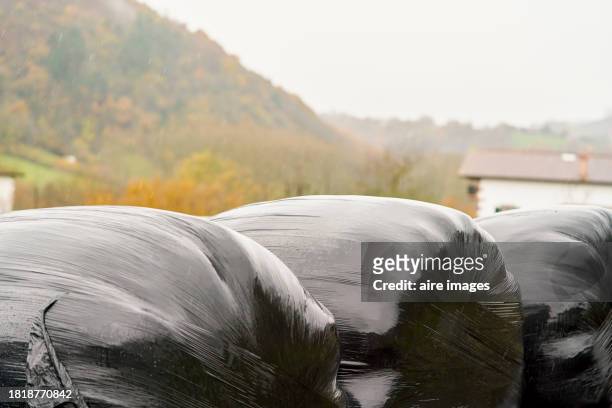 close view of a hay bale covered by a black recipient. close view of a hay bale. - falda negra imagens e fotografias de stock