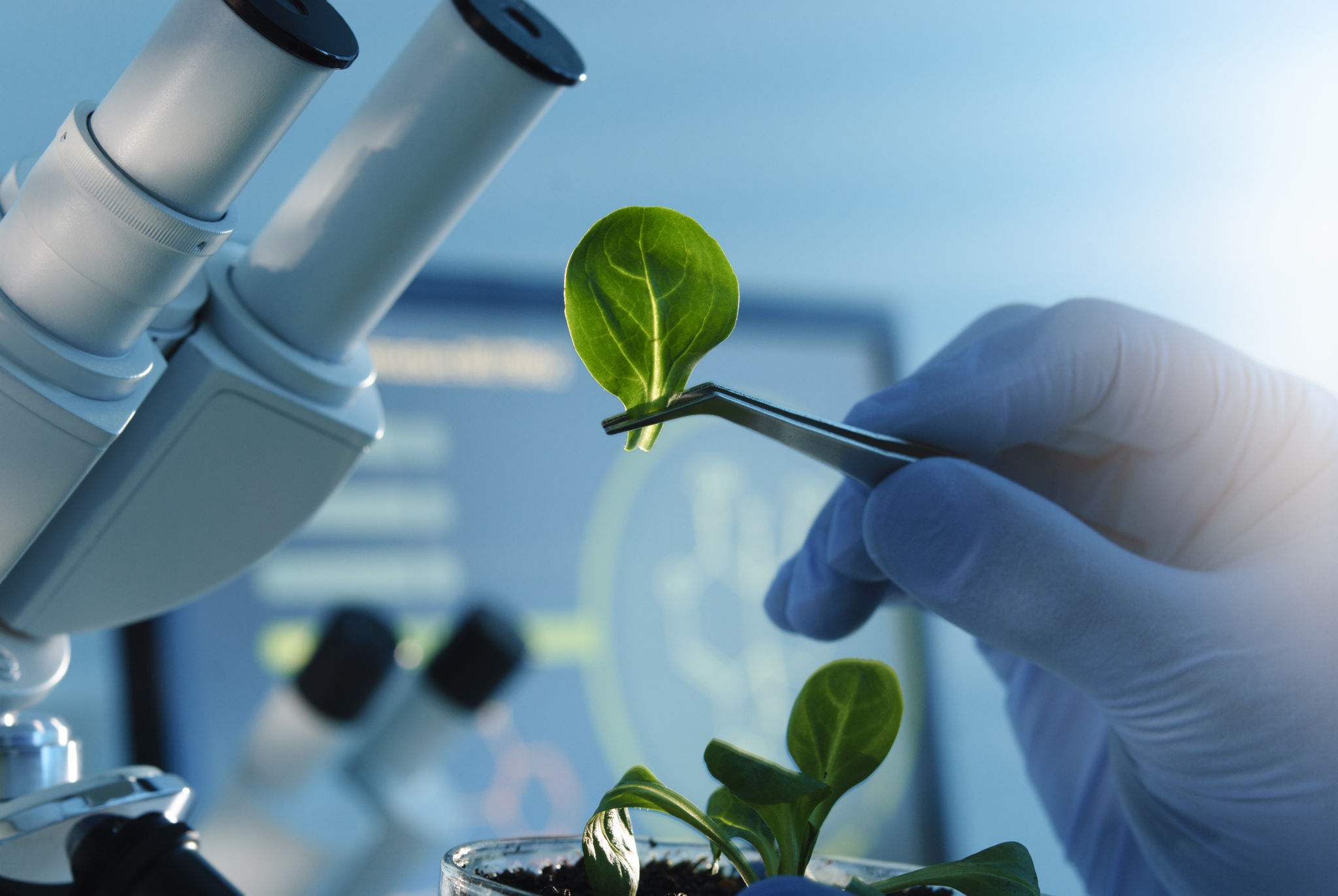 biologic research