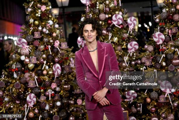 Timothee Chalamet attends the Warner Bros. Pictures world premiere of "Wonka" at The Royal Festival Hall on November 28, 2023 in London, England.