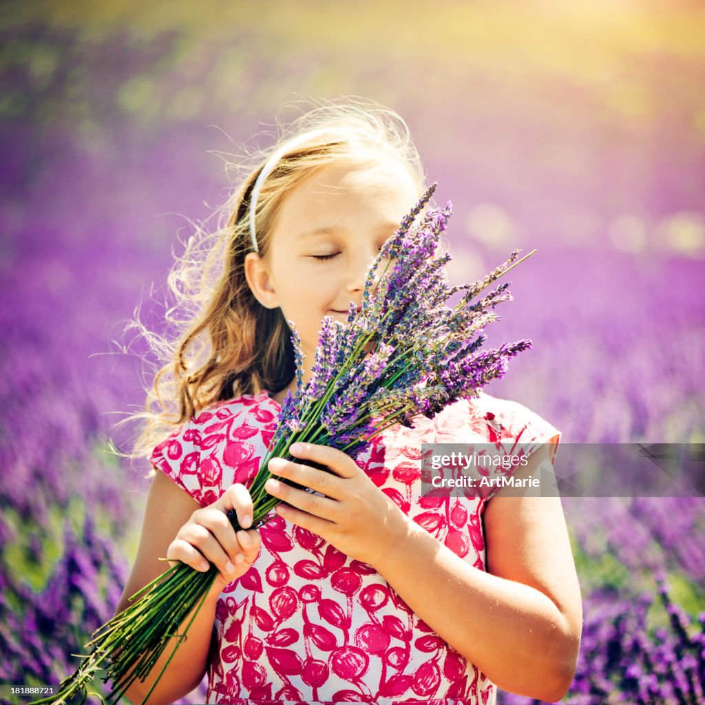 In the field of lavender