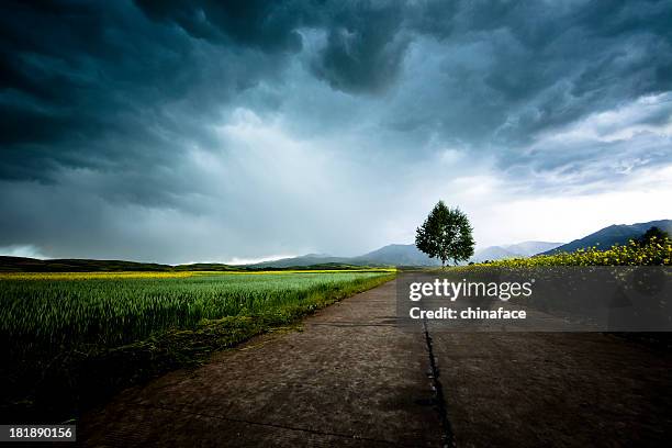 carretera de campo - cumulonimbus fotografías e imágenes de stock