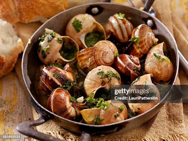 snail - slakkenhuis stockfoto's en -beelden