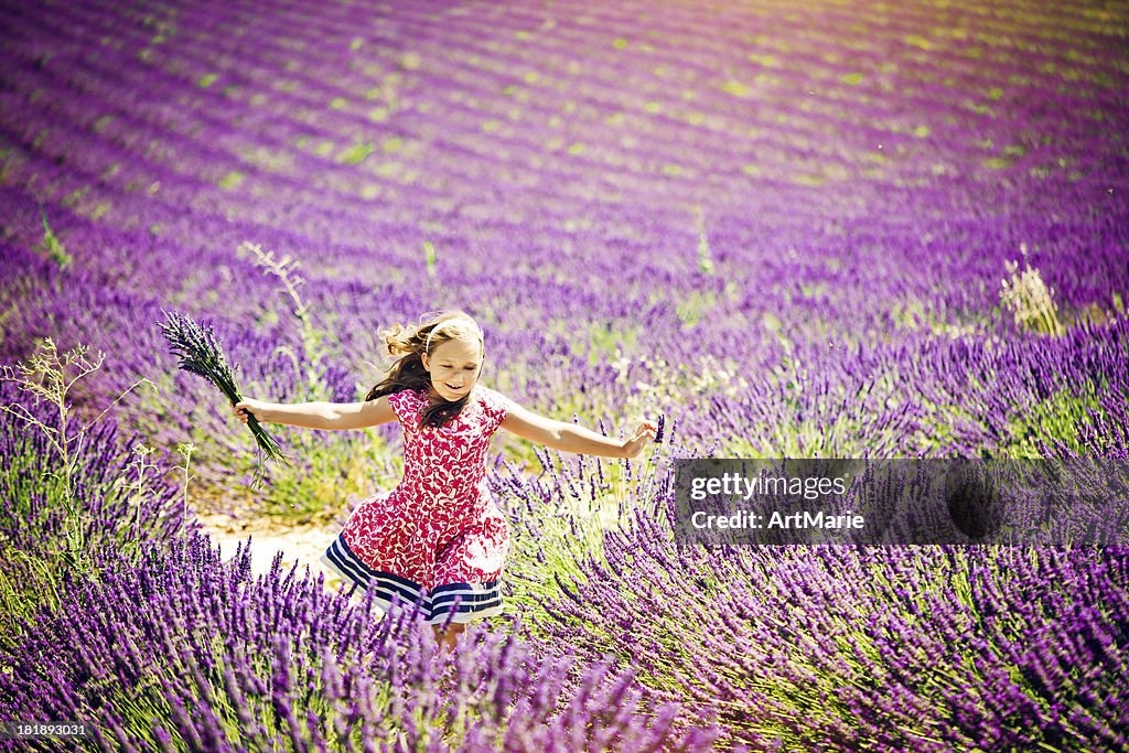 In the field of lavender