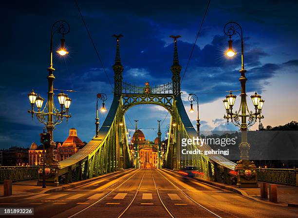 liberty bridge, budapest - budapest stock pictures, royalty-free photos & images
