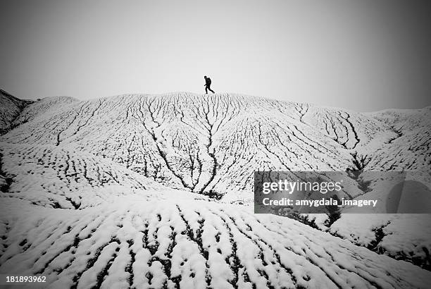 Explorer Ridge Pnw 50 Explorer Ridge Stock Photos, High-Res Pictures, and Images - Getty ...