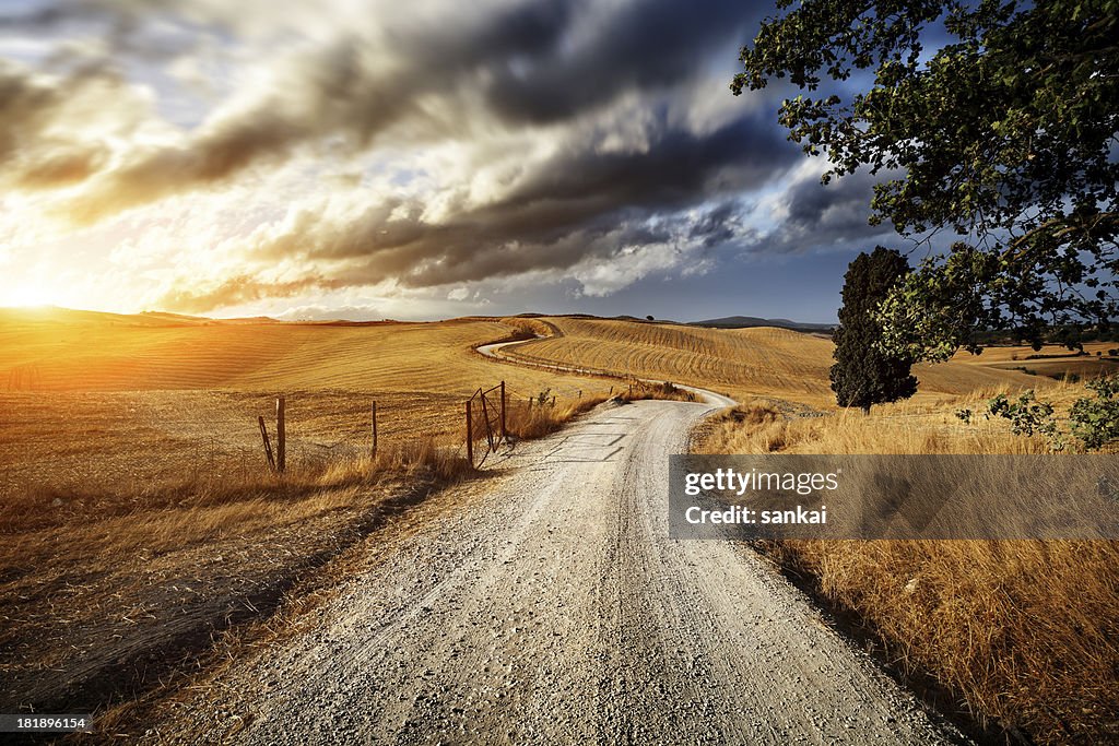 Country road through the fields of Tuscany