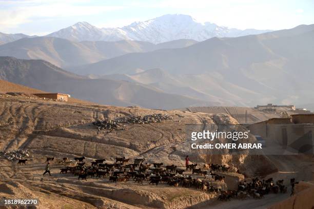 An Afghan shepherd walks with his flock of sheep and goats on the outskirts of Fayzabad district in Badakhshan province on December 3, 2023.