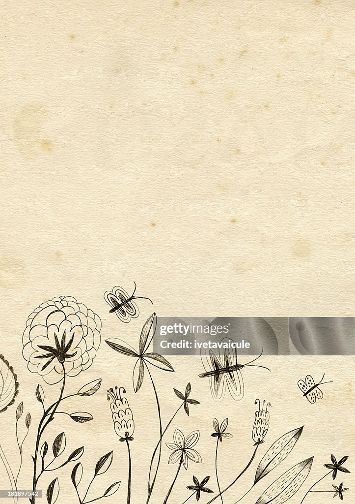 Dibujados A Mano Las Plantas Flores Y Mariposas Sobre Fondo De Papel De  Vitrales Ilustración de stock - Getty Images