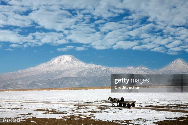 mount ararat. - mt ararat stock pictures, royalty-free photos & images