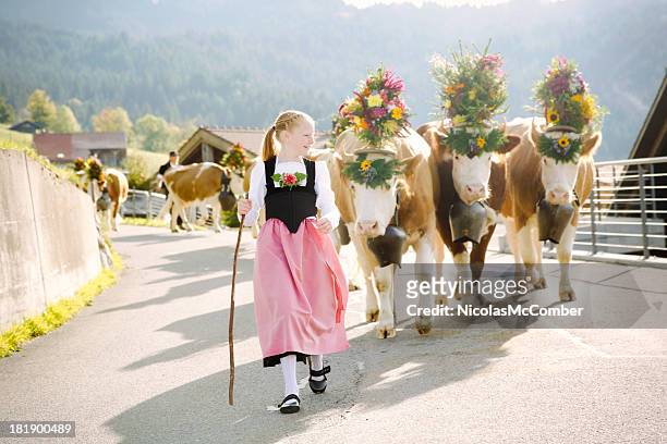 young swiss farmer girl leading decorated cows to fair - swiss cow stock pictures, royalty-free photos & images