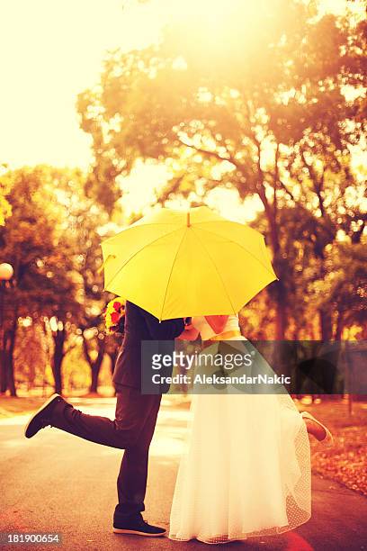 just married! - wedding umbrella stock pictures, royalty-free photos & images