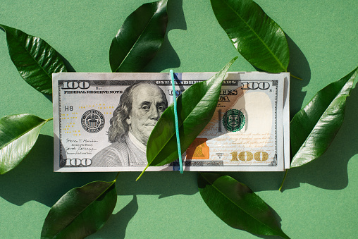 VIG: Strong Blend Between Capital Appreciation And Dividend Growth Potential VIG: Strong Blend Between Capital Appreciation And Dividend Growth Potential