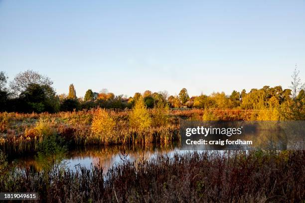 autumn 23 - broxbourne park stock pictures, royalty-free photos & images