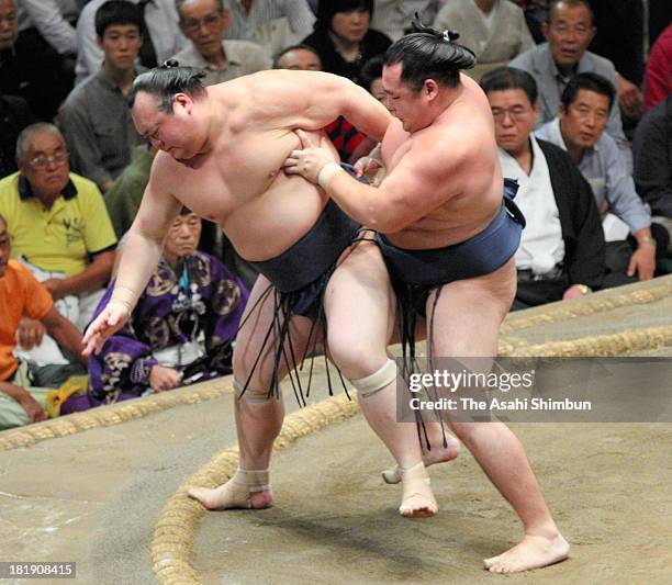 Mongolian ozeki Kakuryu whose real name is Mangaljalavyn Anand pushes Takarafuji out of the ring to win during day eleven of the Grand Sumo Autumn...