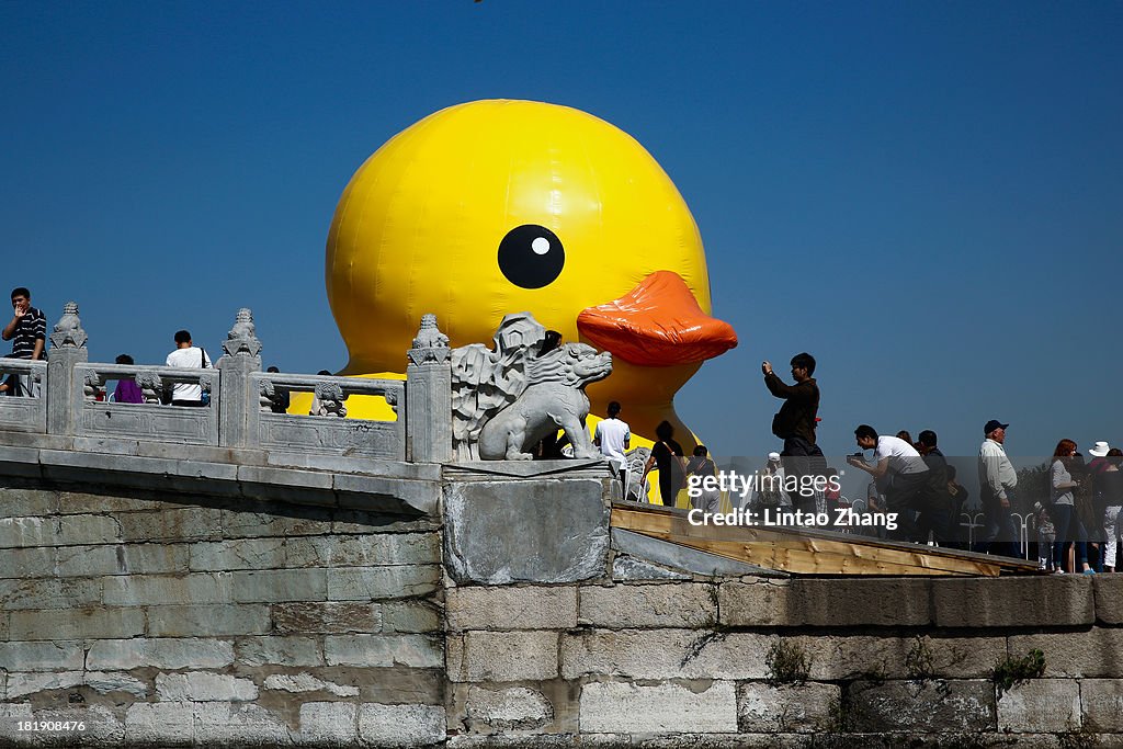 Rubber Duck Moves to Summer Palace