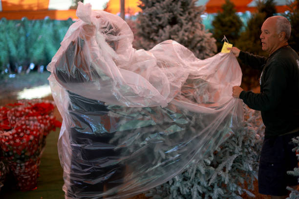 FL: Christmas Trees Imported From Canada Sold In Florida