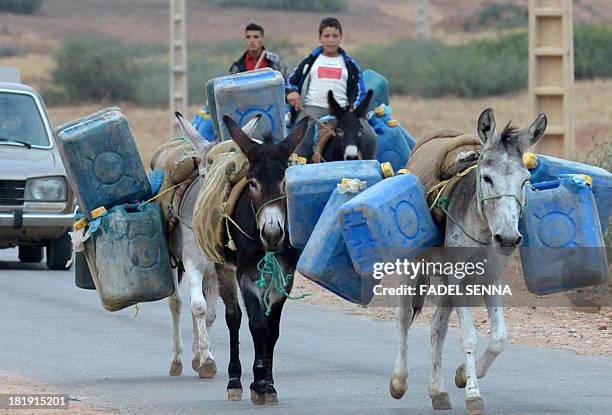 Picture taken on September 12 shows young men on donkeys in Oujda, near the Moroccan-Algerian border, carrying empty barrels into Algeria to fill...