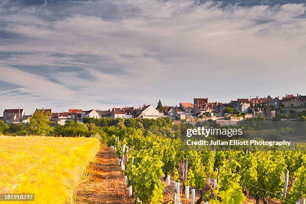 vineyards below the hilltop village of vezelay. - yonne stock pictures, royalty-free photos & images