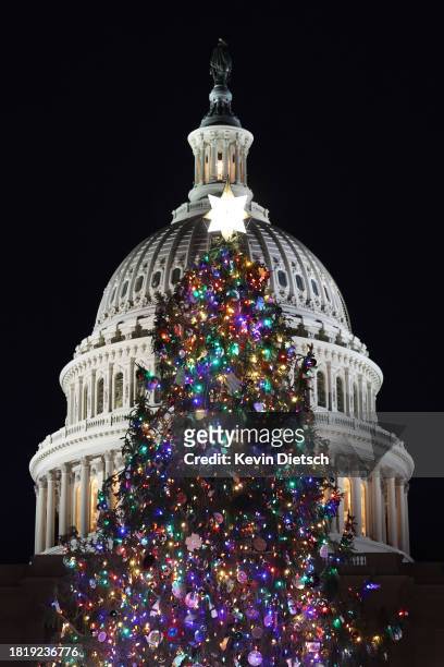 The U.S. Capitol Christmas Tree shines following the lighting ceremonon the West Front of the U.S. Capitol on November 28, 2023 in Washington, DC....