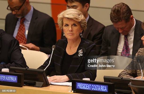 Julie Bishop, Minister for Foreign Affairs of Australia attends the 68th session of the United Nations General Assembly on September 25, 2013 in New...