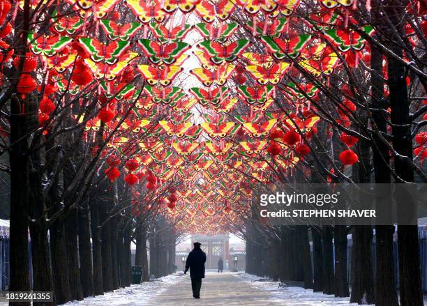 Man strolls down a tree-lined walkway decorated with butterflies and red lanterns in a Beijing park 19 January 2001, in preparations for the coming...