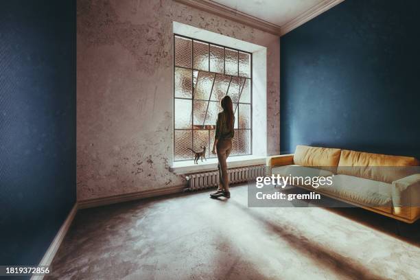 lonely woman looking through the window - pet silhouette stock pictures, royalty-free photos & images