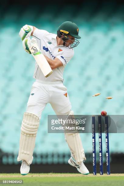 Tim Ward of the Tigers is bowled by Jackson Bird of New South Wales during the Sheffield Shield match between New South Wales and Tasmania at SCG, on...