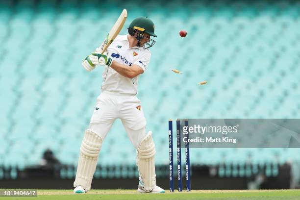 Tim Ward of the Tigers is bowled by Jackson Bird of New South Wales during the Sheffield Shield match between New South Wales and Tasmania at SCG, on...