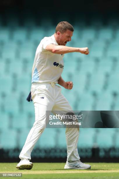 Jackson Bird of New South Wales celebrates taking the wicket of Charlie Wakim of the Tigers during the Sheffield Shield match between New South Wales...