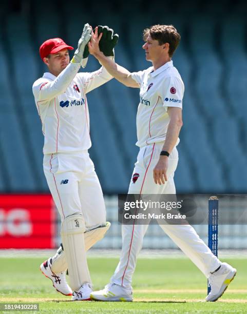 Brendan Doggett of the Redbacks celebrates the wicket of Fergus O'Neill of the Bushrangers with Alex Carey of the Redbacks during the Sheffield...