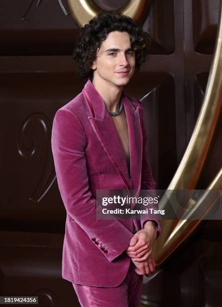 Timothée Chalamet arrives at the "Wonka" World Premiere at The Royal Festival Hall on November 28, 2023 in London, England.