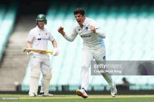 Moises Henriques of New South Wales celebrates taking the wicket of Jordan Silk of the Tigers during the Sheffield Shield match between New South...