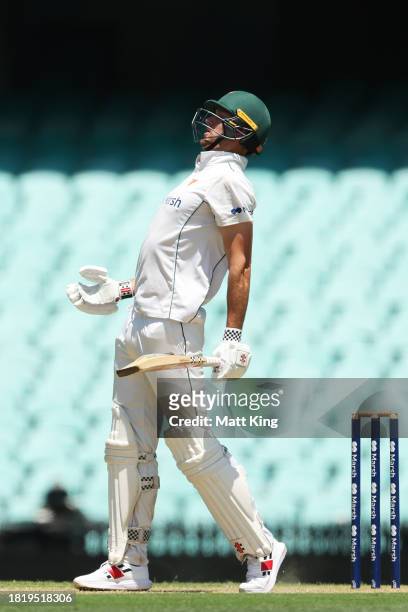 Beau Webster of the Tigers \baduring the Sheffield Shield match between New South Wales and Tasmania at SCG, on November 29 in Sydney, Australia.
