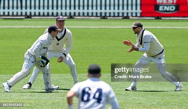 Sam Harper of the Bushrangers celebrates after catching the wicket of Alex Carey of the Redbacks off Fergus O'Neill of the Bushrangers during the...