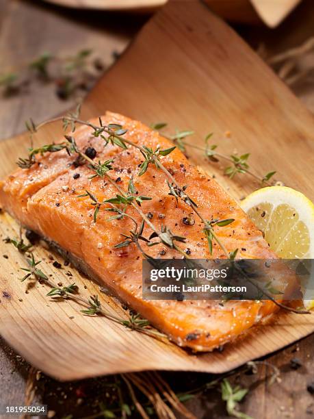 cedar eingewickelt lachs - gebackener lachs stock-fotos und bilder