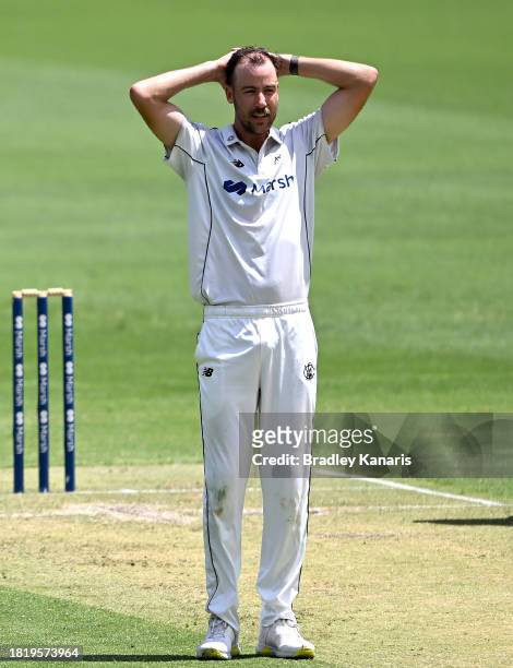 Charlie Stobo of Western Australia reacts during day two of the Sheffield Shield match between Queensland and Western Australia at The Gabba, on...