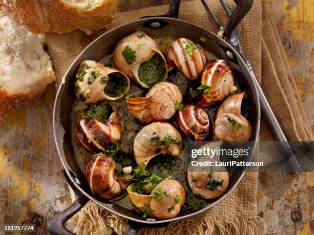 schnecken - französische küche stock-fotos und bilder