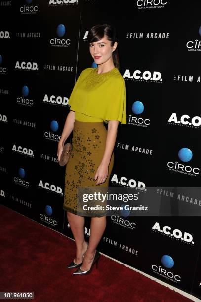 Actress Mary Elizabeth Winstead arrives at the "A.C.O.D." premiere at the Landmark Theater on September 26, 2013 in Los Angeles, California.