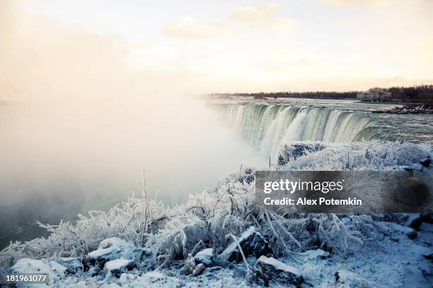 winter niagara falls - horseshoe falls niagara falls stock-fotos und bilder