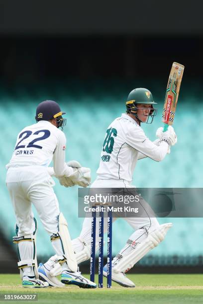Mitchell Owen of the Tigers bats during the Sheffield Shield match between New South Wales and Tasmania at SCG, on November 29 in Sydney, Australia.