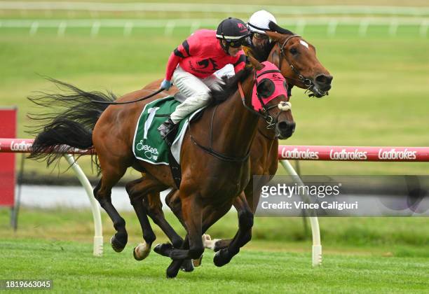 Harry Coffey riding Tommy defeats Speranzoso in Race 5, the Evergreen Turf Handicap, during Melbourne Racing at Sandown Lakeside on November 29, 2023...