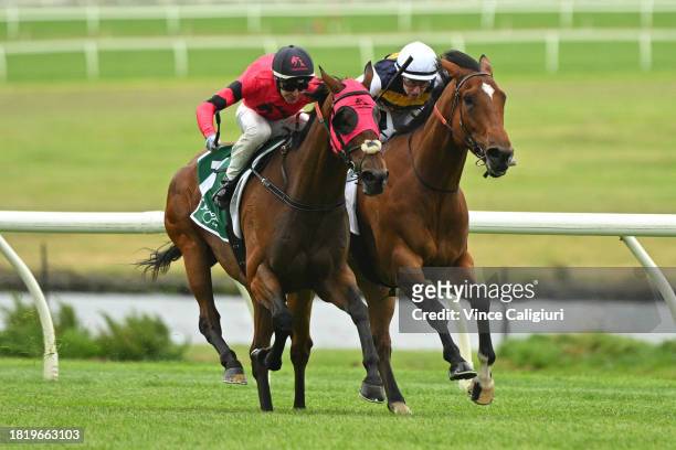 Harry Coffey riding Tommy defeats Speranzoso in Race 5, the Evergreen Turf Handicap, during Melbourne Racing at Sandown Lakeside on November 29, 2023...