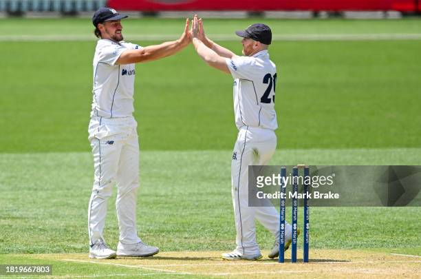 Sub Jonathan Merlo of the Bushrangers celebrates running out Nathan McSweeney of the Redbacks during the Sheffield Shield match between South...