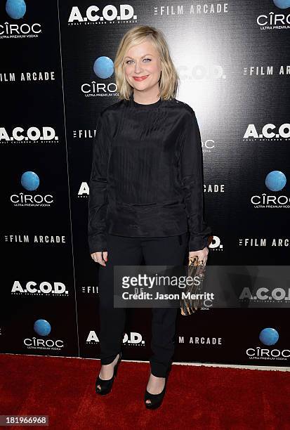 Actress Amy Poehler attends the premiere of The Film Arcade's "A.C.O.D." at the Landmark Theater on September 26, 2013 in Los Angeles, California.